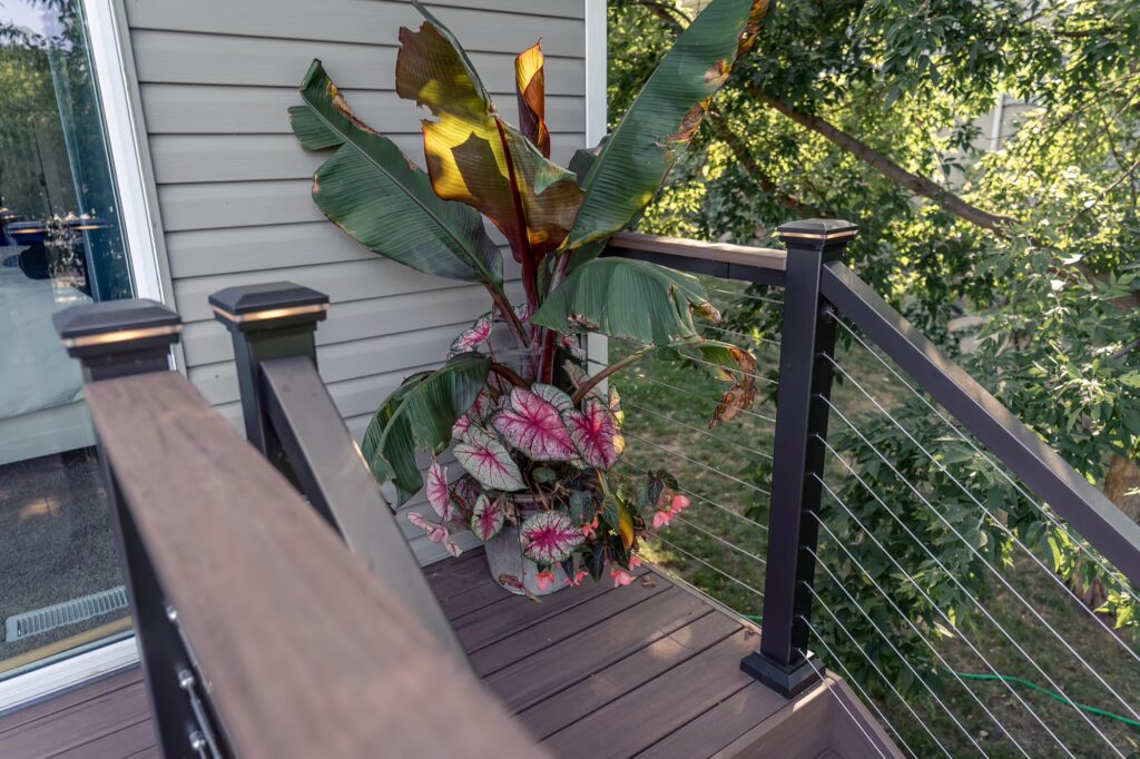 Top landing of low-maintenance deck staircase with tropical foliage, drink rail, and integrated post cap lights. 